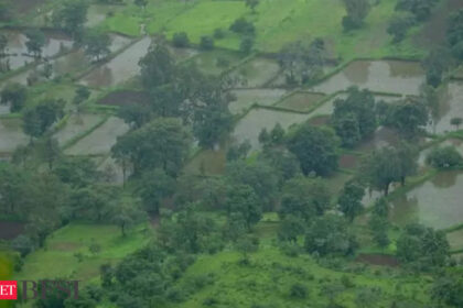 India's top private lenders see farm loan defaults rising amid weak rural economy - ET BFSI