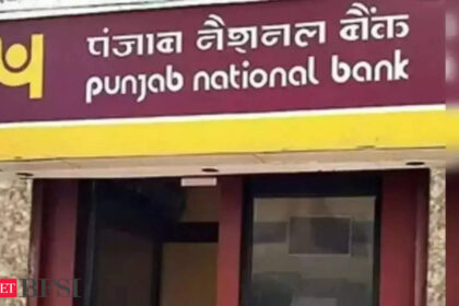 Rs 13,000 crore PNB scam: CBI plea for custody of ex-Gitanjali Group international head rejected - ET BFSI