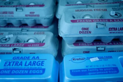 Egg prices are rising once again as bird flu limits supply