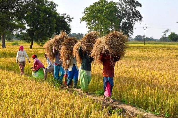 Institutional credit to agriculture reached an all-time high of ₹25.10 lakh crore during 2023-24