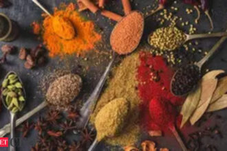 India's spice exports projected to reach $10 billion by 2030 - ETCFO